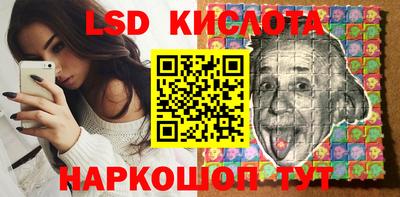 гашик Донской