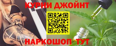 гашик Донской
