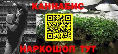 Альфа ПВП Гусиноозёрск
