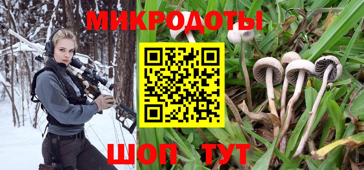 что такое наркотик  Псилоцибиновые грибы Cubensis  Вход с VPN  Мурманск 